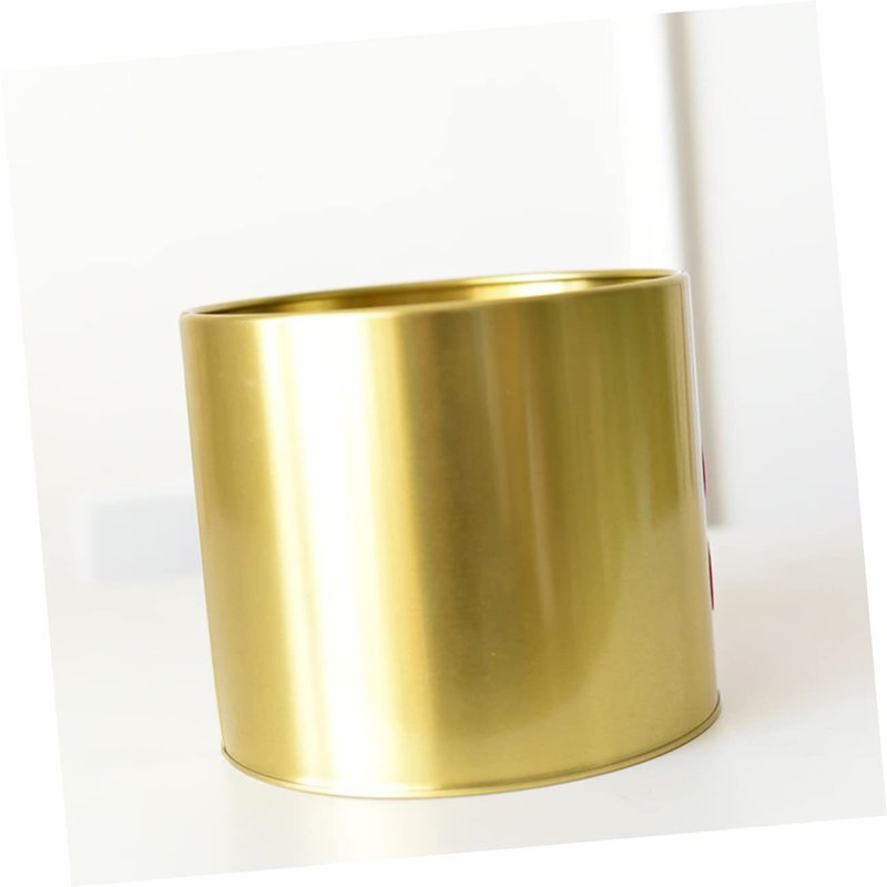 POPETPOP Gold Mini Pot for Indoor-Outdoor: Metal Plants Bucket, Gold Decor Pots for Modern Home Table Office Desk Bathroom Balcony Decoration - 5.31 inch