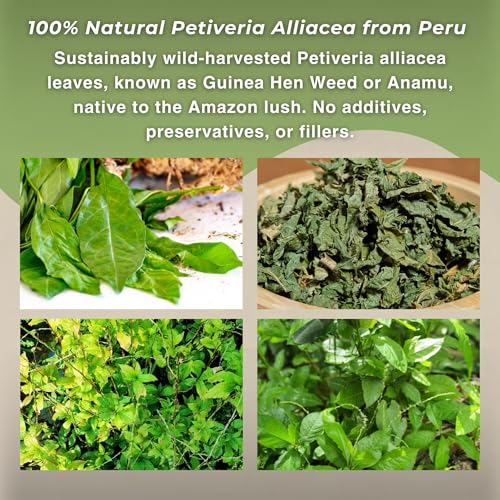 Hanan Peruvian Secrets Mucura (Anamu) Herbal Tea - 100% Natural, Caffeine-Free, 1.41oz