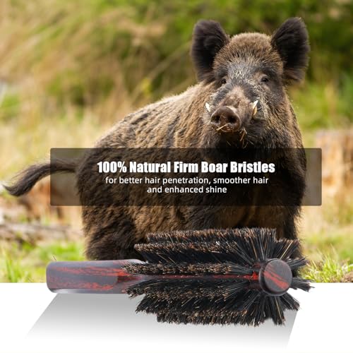 PERFEHAIR 1.3-Inch Soft Boar Bristle Round Brush for Fine Hair and Beards
