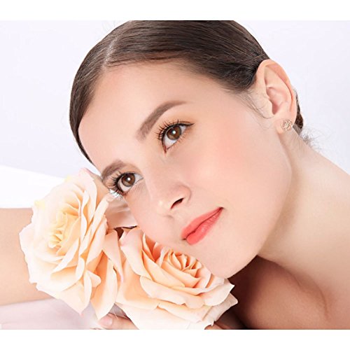 16 Pack Big Rose Flower Hair Clips & Brooches - inSowni S1