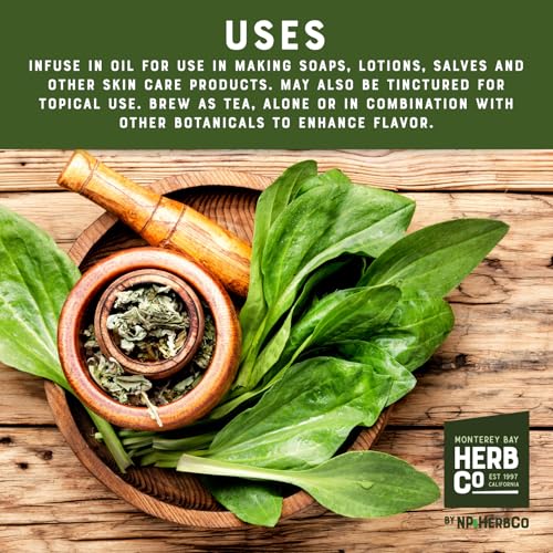 Cut & Sifted Plantain Leaf Tea, Kosher 1/4 lb - Herb Co