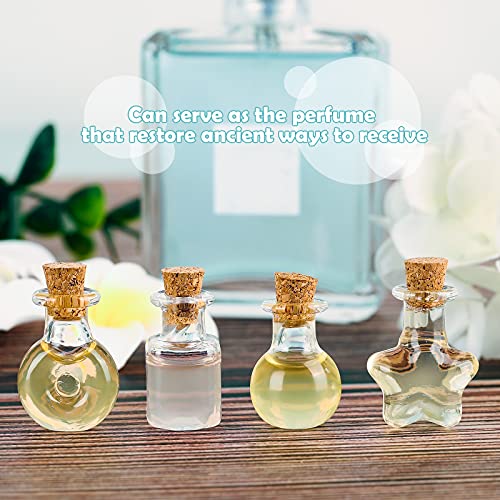 Honeydak 100Pcs Mini Glass Bottles Jars with Cork Stopper - 10 Shapes DIY Wishing Potions Set (Funny Variation)