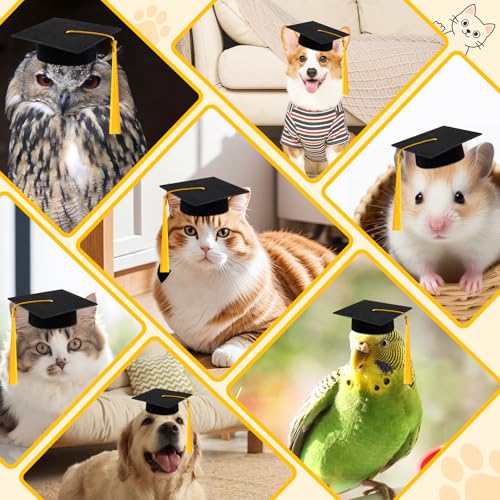 Mini Graduation Cap Set - 9 Felt Caps with Tassels for Plush Toys
