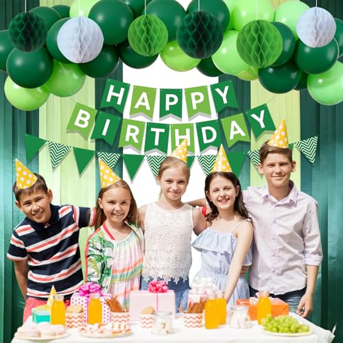 Green Birthday Party Decoration Set with Banner, Balloons & Streamers