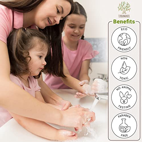 Soap Sense Foaming Hand Soap Tablets - 12 Pack Refill, Citrus Scent