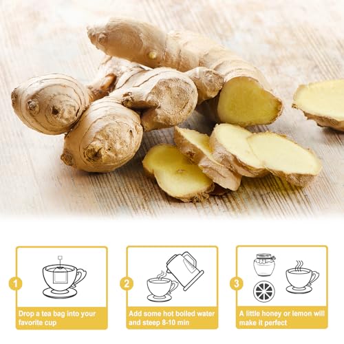 TEARELAE Pure Ginger Tea Bags - 64 Count for Digestion & Respiratory Health