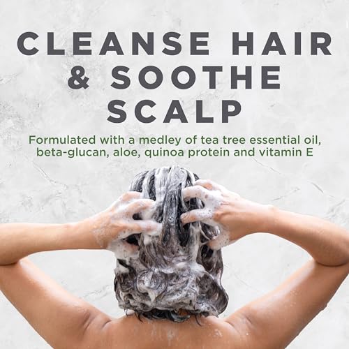 Avalon Organics Tea Tree Shampoo for Scalp Well-Being, 11 oz