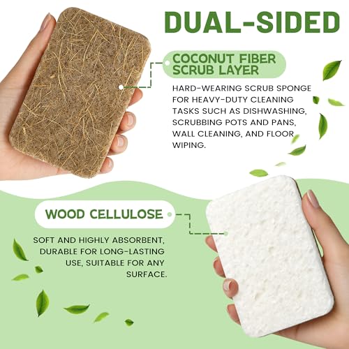 Plant-Based Kitchen Sponges - 12 Count Biodegradable & Non-Scratch