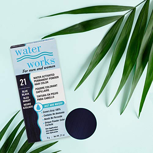 Blue Black Permanent Hair Color Powder - Water Works, 3 Pack