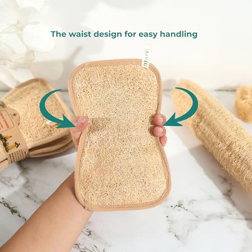 Large Natural Dual-Sided Loofah Sponge - Pack of 3, Exfoliating Bath Scrubber