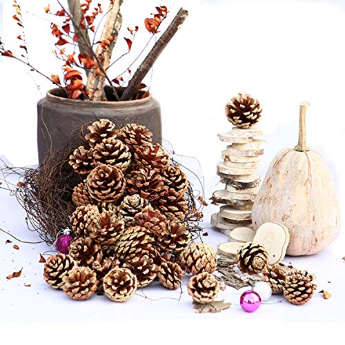 300 Mini Pine Cones for DIY Crafts & Home Decor - Natural Wood