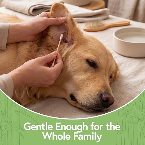 Jenvita 100% Bamboo Cotton Ear Swabs - 200 Pack, Biodegradable