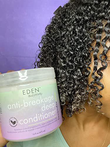 EDEN BodyWorks Lavender Aloe Deep Conditioner - 16oz Hair Treatment