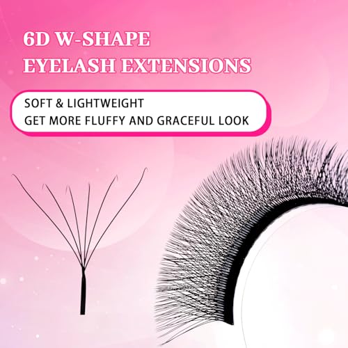 TDANCE YY Lash Extensions Premade Volume Fans 8-15mm W-6D-0.07-C Matte Black