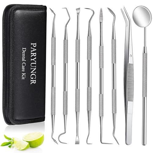 PARYUNGR 8-Piece Dental Tools Kit - Stainless Steel Plaque Remover