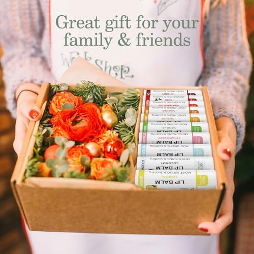 Dmsky Bulk Lip Balm Set – 20 Count, 10 Flavors Hydrating Natural Lip Moisturizer