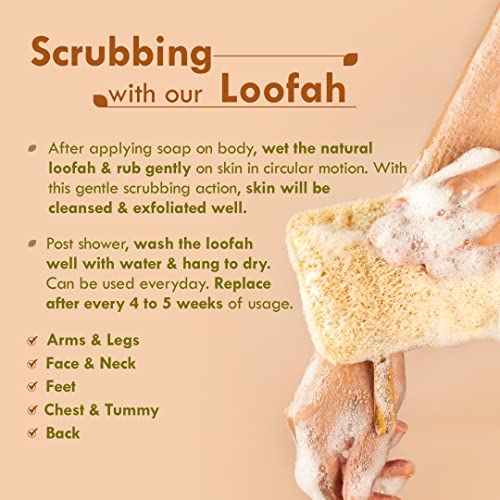 Nat Habit Natural Sun Dried Bath Loofah - Exfoliating Body Sponge (2 Pack)