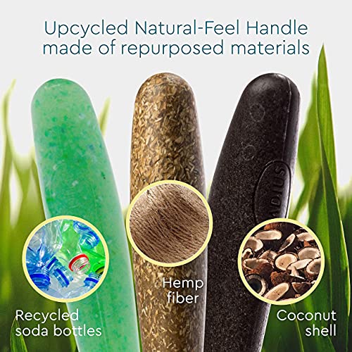 RADIUS Source Flossing Toothbrush - BPA Free, ADA Accepted
