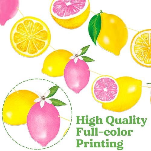 Lemon Pink Citrus Birthday Banner Set - Glitter Garland for Girls