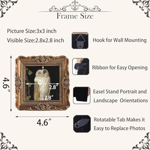 VINLIFE 3x3 Vintage Picture Frames - Antique Bronze Ornate Design
