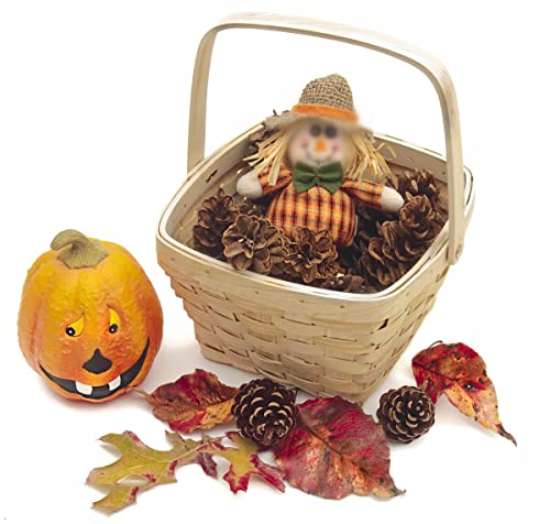18 Natural Pine Cones for Rustic Christmas & Fall Decor
