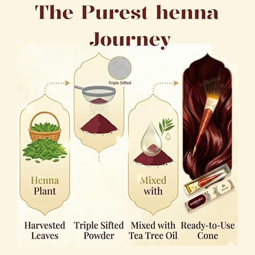 Kumari Kulture Organic Henna Cones Kit - Dark Red Brown (Pack of 3)