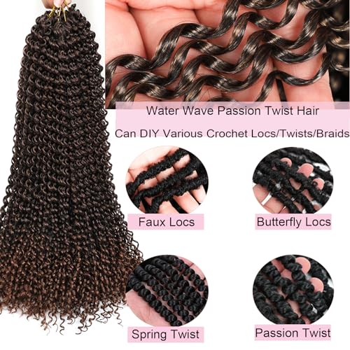 Ahrencan 10 Inch Passion Twist Crochet Hair - 5 Pack T1B/30