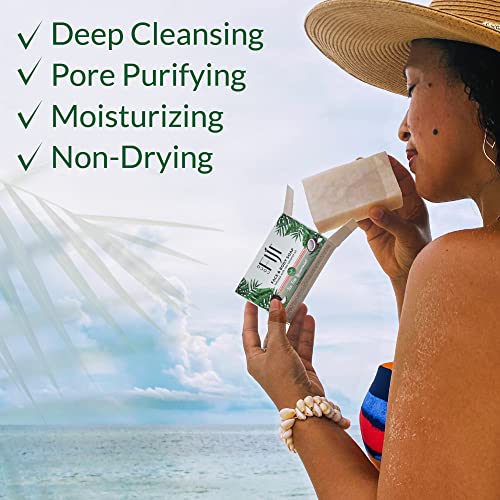 Organic Fiji Coconut Tea Tree Spearmint Soap Bar for Face & Body - 7 oz Pack of 2