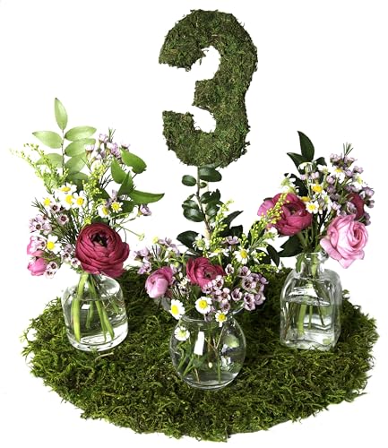 SuperMoss Preserved Moss Placemat - 12" Round Table Decor