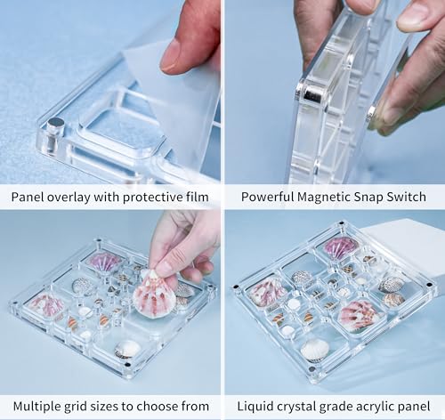 Seashell Display Case with Magnetic Closure | Acrylic Organizer with 18 Grids