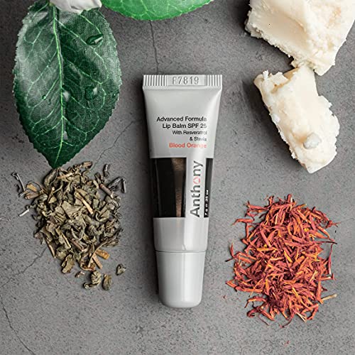 Anthony SPF 25 Lip Balm 4-Pack with Green Tea & Shea Butter