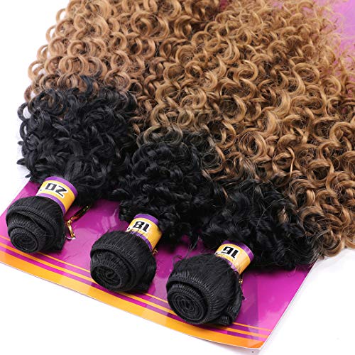 REYNA Golden Ombre Afro Kinky Curly Hair Bundles - 3 Piece Set (16/18/20 Inches)