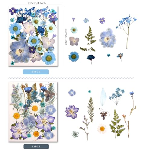 100 PCS Blue Pressed Dried Flowers with Tweezers for DIY Crafts