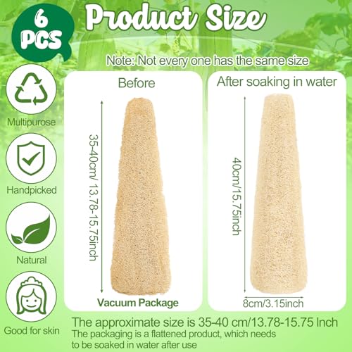 6 Pack Natural Loofah Sponges (13.8-15.7 Inch) for Kitchen & Bath