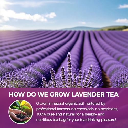 WOTIHA Culinary Dried Lavender Buds 8.8oz - Premium Natural Flavoring