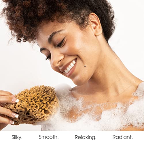 Naroa Medium Natural Sea Sponge | Gentle Bath Loofah for Smooth Skin