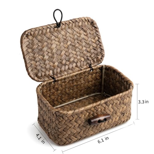 Handwoven Seagrass Basket with Lid for Makeup & Jewelry Storage