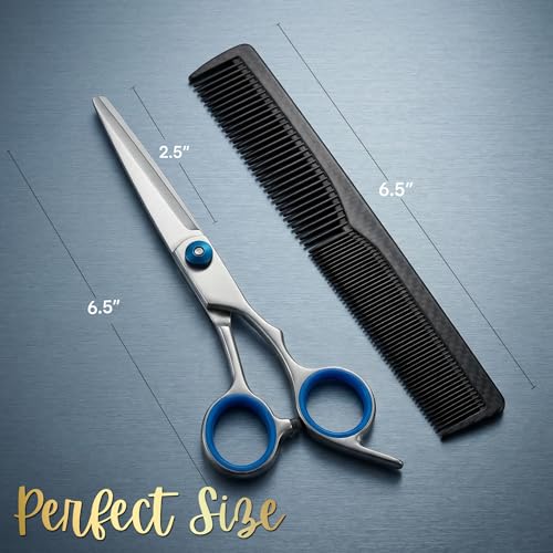 6.5 Inch Stainless Steel Hair Cutting Scissors with Adjustable Tension & Comfort Grip