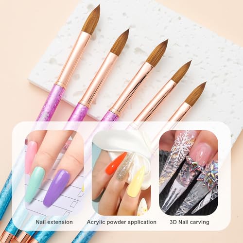 Acrylic Nail Brush Size 08 – 100% Pure Kolinsky Sable Hair, Gradient/#8, Professional Nail Extension Tool
