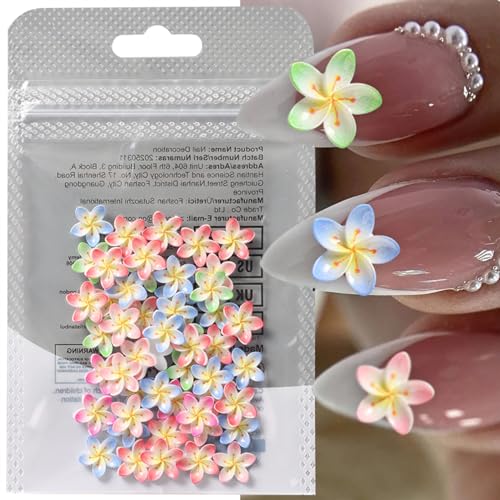 50 Pcs Flower Nail Art Charms - 3D Colorful Floral Rhinestones