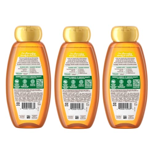 Garnier Whole Blends Moroccan Argan & Camellia Oil Smoothing Shampoo 3-Pack
