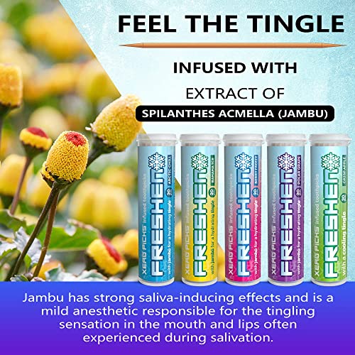 Xero Picks Freshen Infused Flavored Toothpicks - Cooling Breath Freshener, 100 Picks, 5-Pack Variety