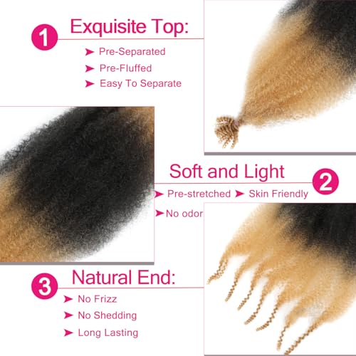 Hbegant 24 Inch Afro Spring Twist Hair - Pre-Fluffed Extensions, 1B/27#