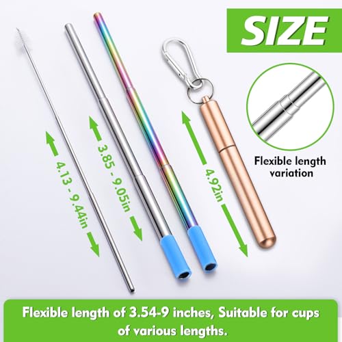 Collapsible Stainless Steel Reusable Straws - 5 Pack with Case & Brushes