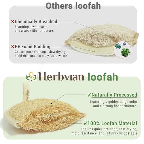 Natural Loofah Exfoliating Body Scrubber Pads - Oval, 3 Pack