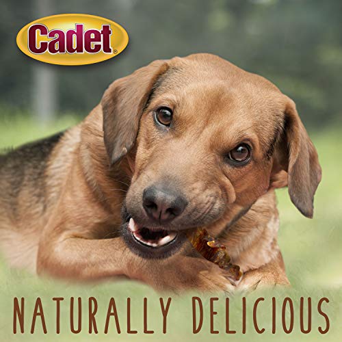 Cadet Chicken & Sweet Potato Dog Treats, 14 oz - Low Fat, High Protein
