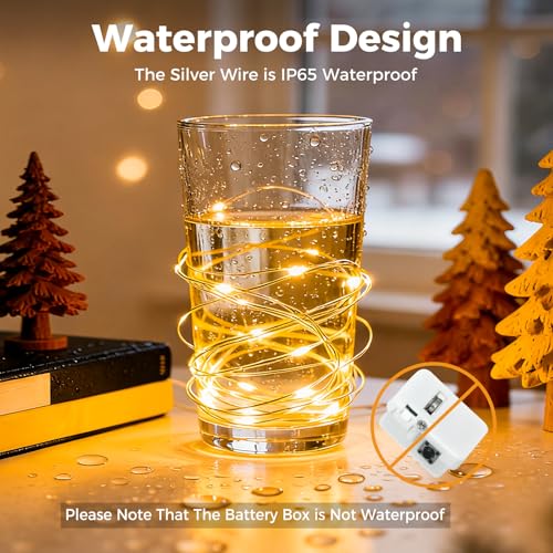 litogo 20 LED Fairy Lights - 7FT Battery Operated String Lights