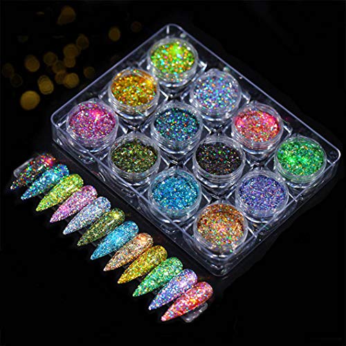 Sethexy 12-Color Holographic Glitter Powder for Nail Art (A)