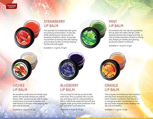 Vaadi Herbals Lip Balm 8x10g Orange & Shea Butter - All Natural