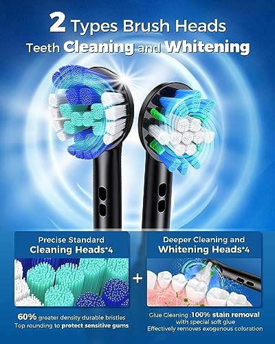 TEETHEORY Rotating Electric Toothbrush with 8 Brush Heads, 4 Modes, Black
